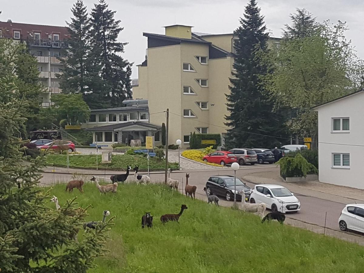 Hotel Haefner Bad Schonborn Bagian luar foto